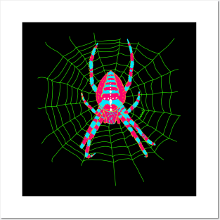 European garden spider (Araneus diadematus) Posters and Art